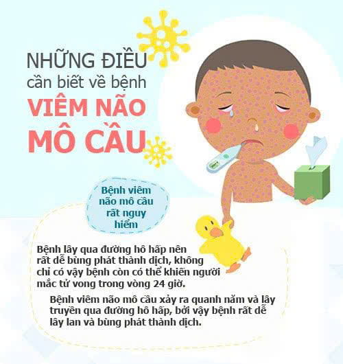 PHÒNG, CHỐNG BỆNH VIÊM MÀNG NÃO DO NÃO MÔ CẦU TRONG TRƯỜNG HỌC